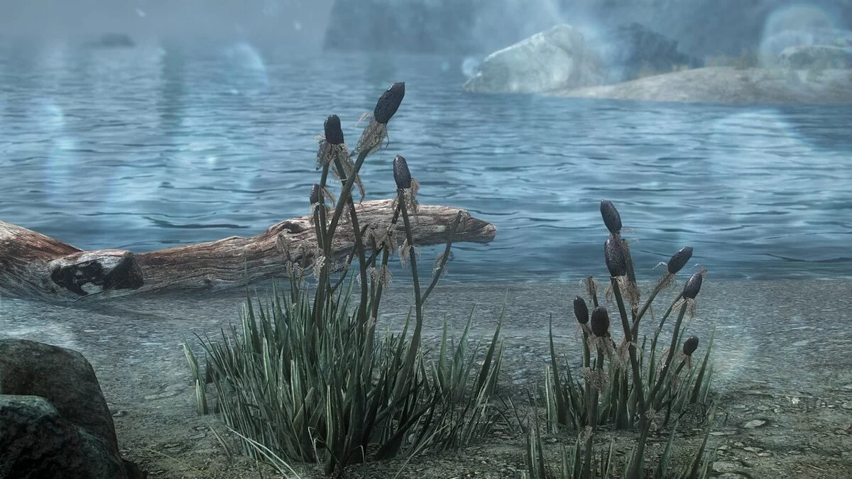 Elder Scrolls 5: Skyrim Special Edition — Поліпшений реп'ях