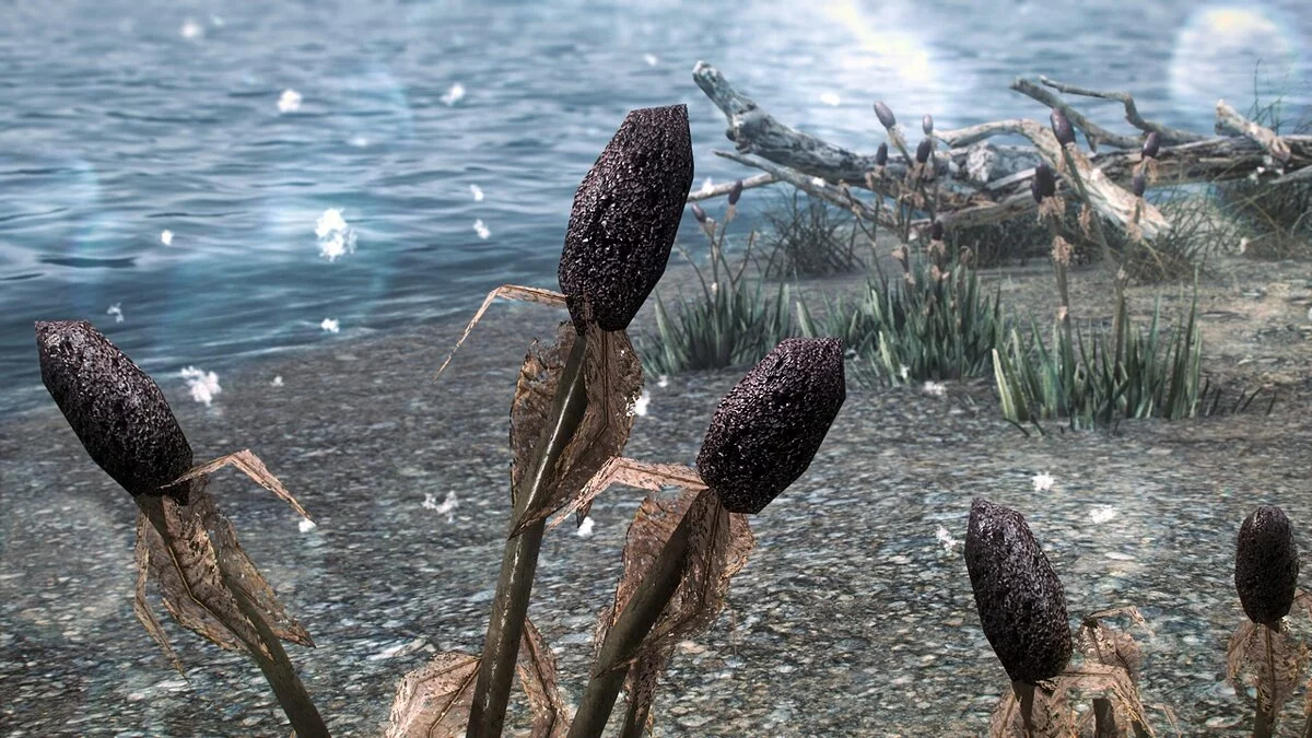 Elder Scrolls 5: Skyrim Special Edition — Поліпшений реп'ях