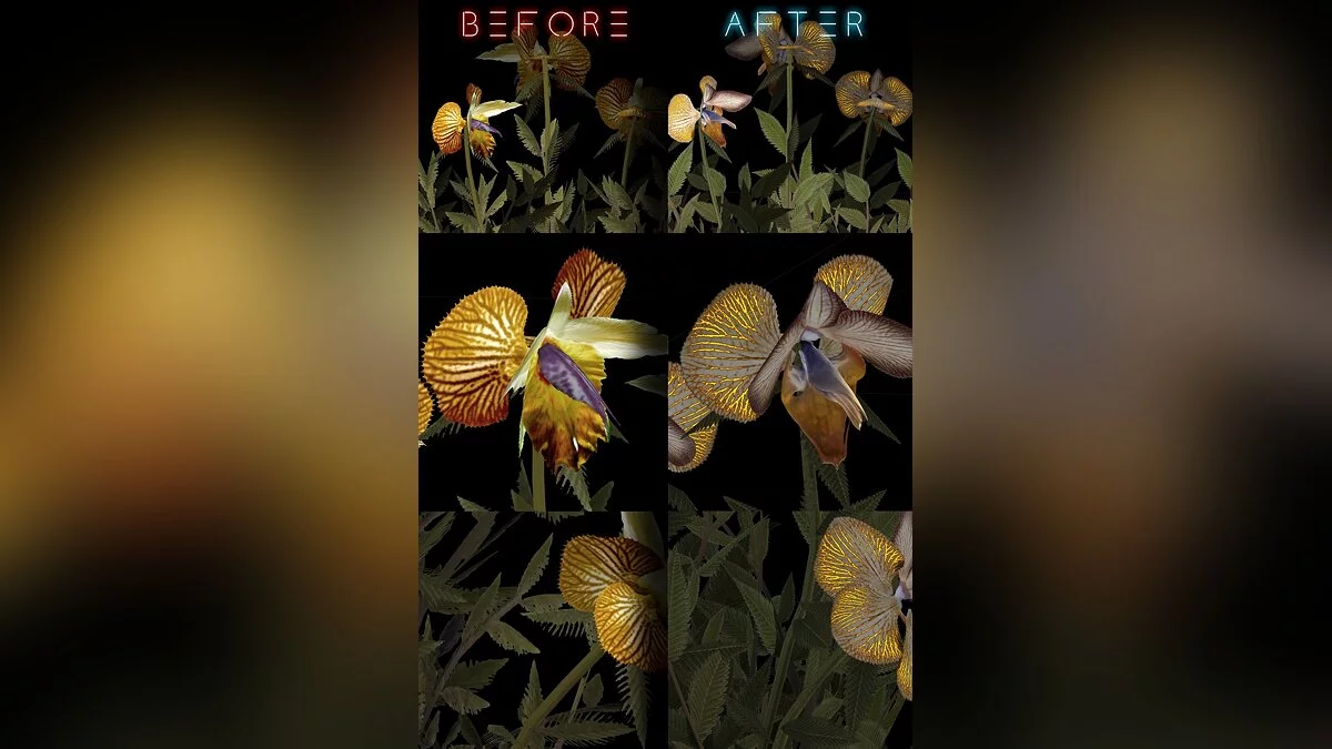 Elder Scrolls 5: Skyrim Special Edition — Улучшенные цветы язык дракона