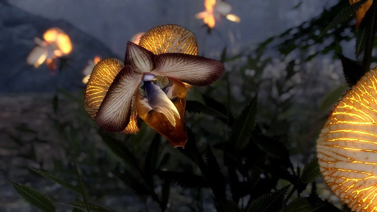 Elder Scrolls 5: Skyrim Special Edition — Улучшенные цветы язык дракона