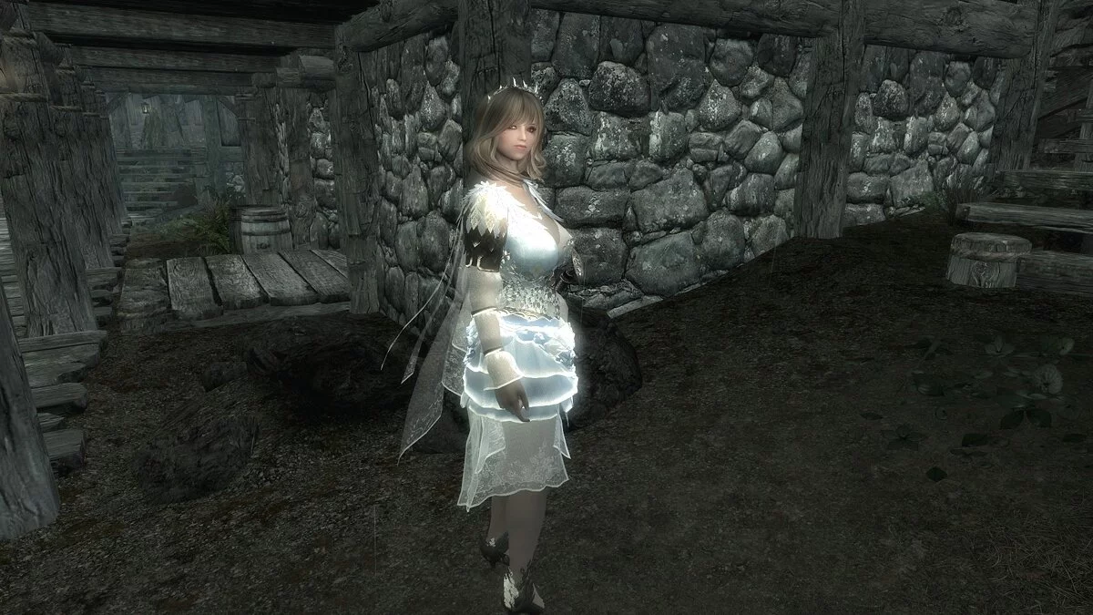 The Elder Scrolls 5: Skyrim Legendary Edition — Очаровательный компаньон