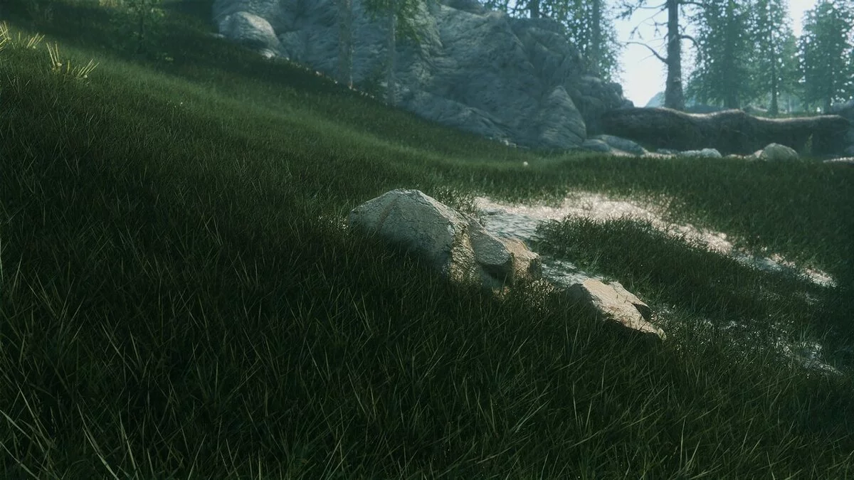 Elder Scrolls 5: Skyrim Special Edition — Реалістичні поля
