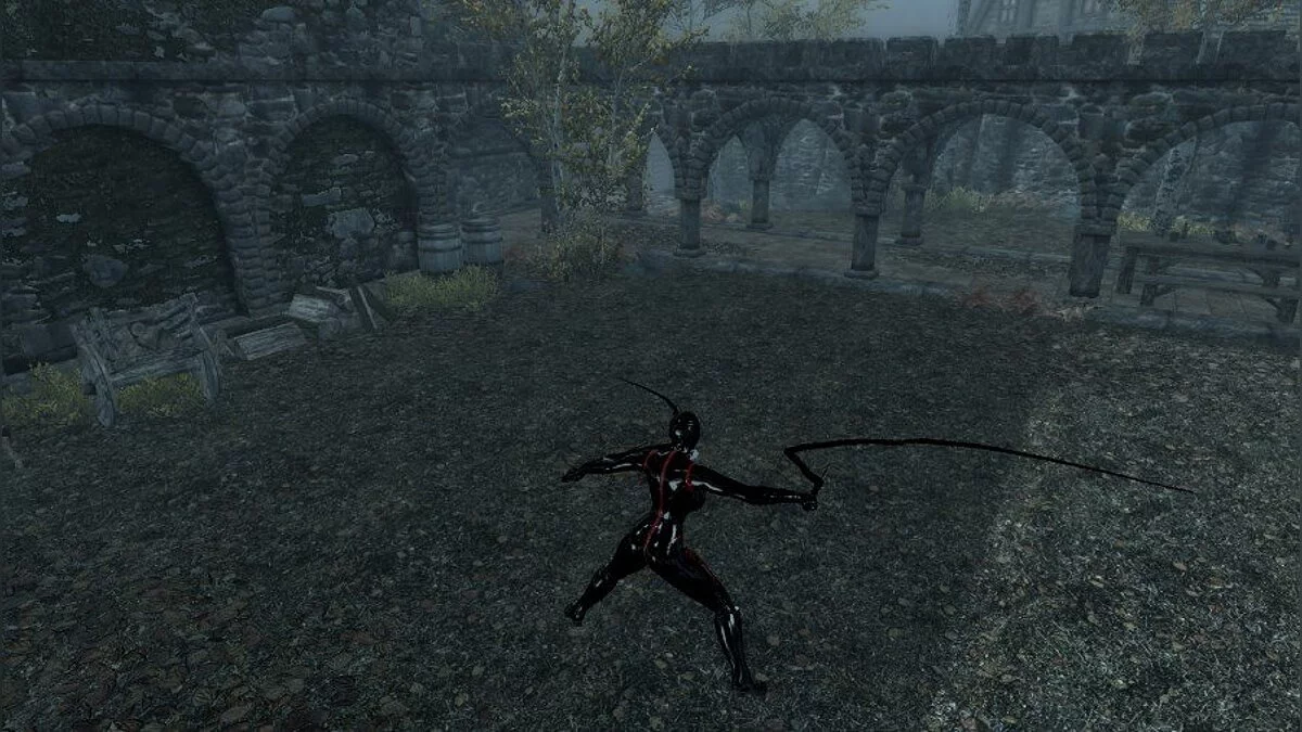 The Elder Scrolls 5: Skyrim Legendary Edition — Кнуты