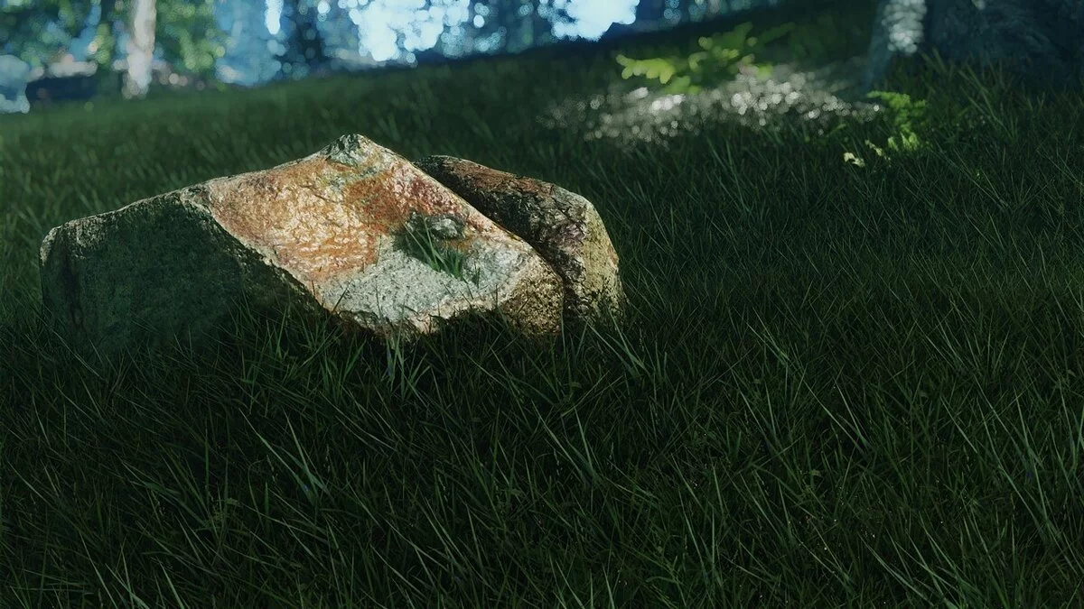 The Elder Scrolls 5: Skyrim Legendary Edition — Реалистичные поля