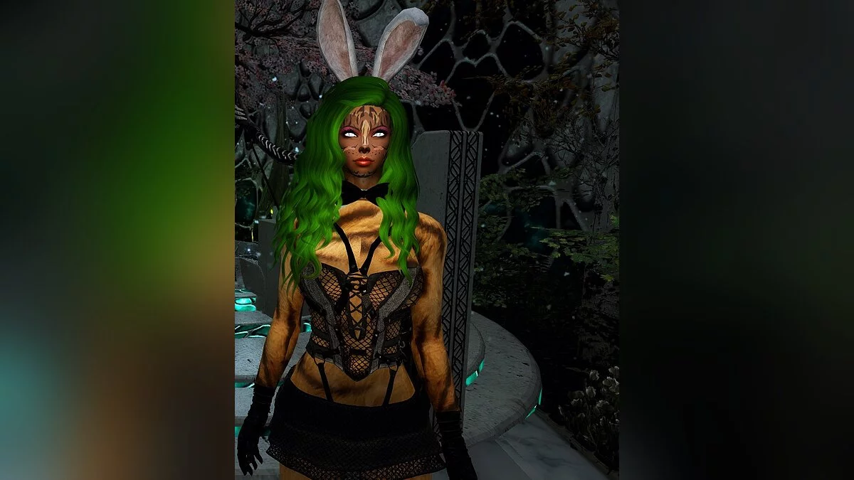 The Elder Scrolls 5: Skyrim Legendary Edition — Компаньон Катя - кошка