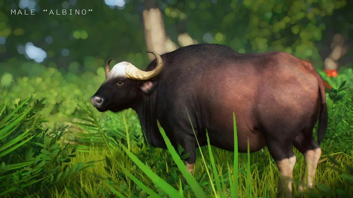 Planet Zoo — Бик гаур