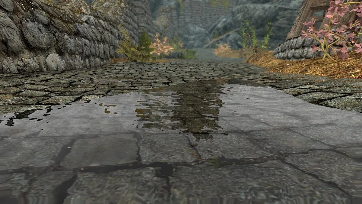 The Elder Scrolls 5: Skyrim Legendary Edition — Улучшенные лужи