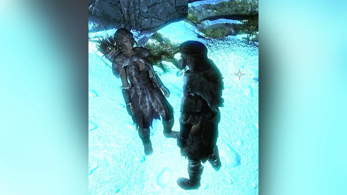 The Elder Scrolls 5: Skyrim Legendary Edition — Компаньон Шарлотта