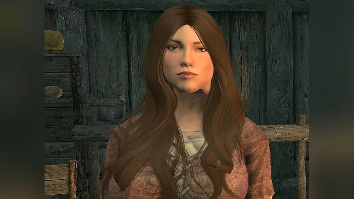 Elder Scrolls 5: Skyrim Special Edition — Sally's Companion