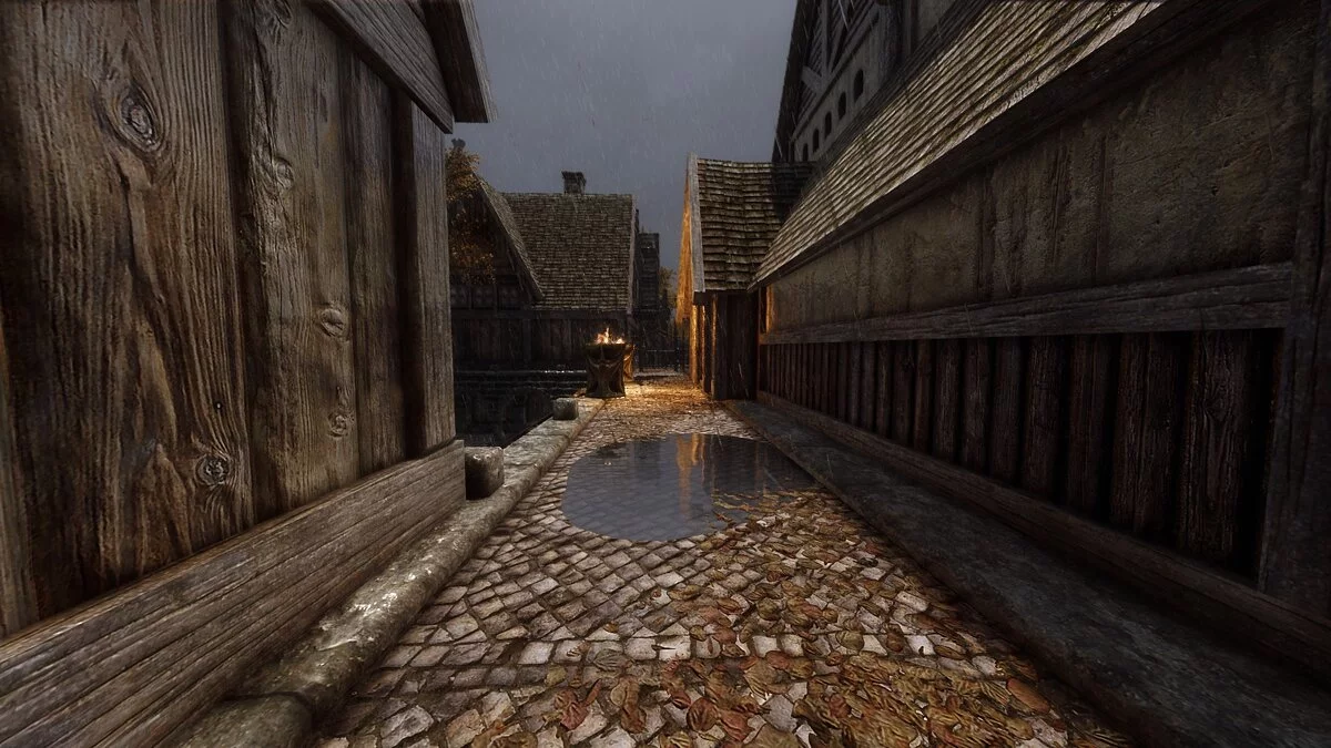 Elder Scrolls 5: Skyrim Special Edition — Лужи Рифтена