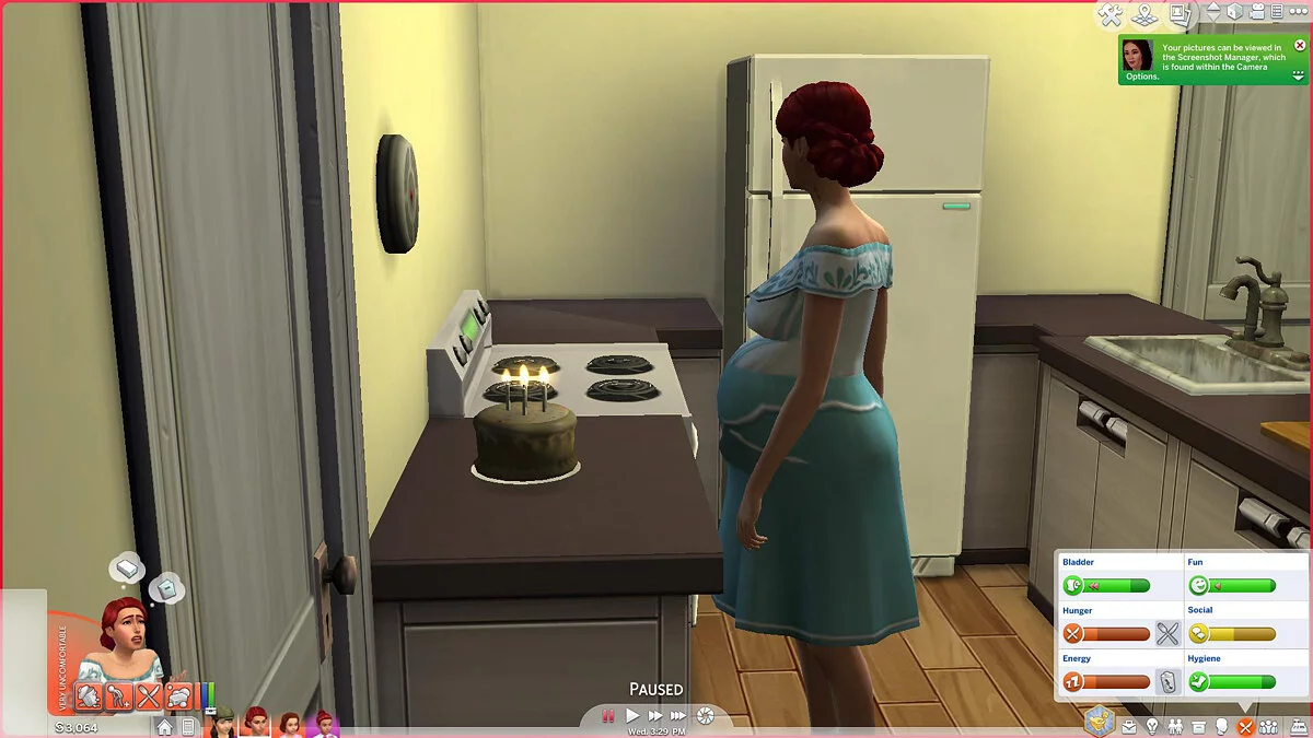 The Sims 4 — Pregnant women, babies and children may die (06/14/2020)