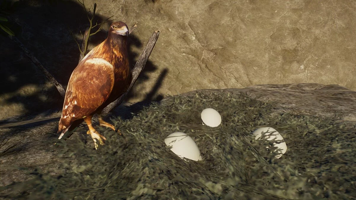 Planet Zoo — Орли