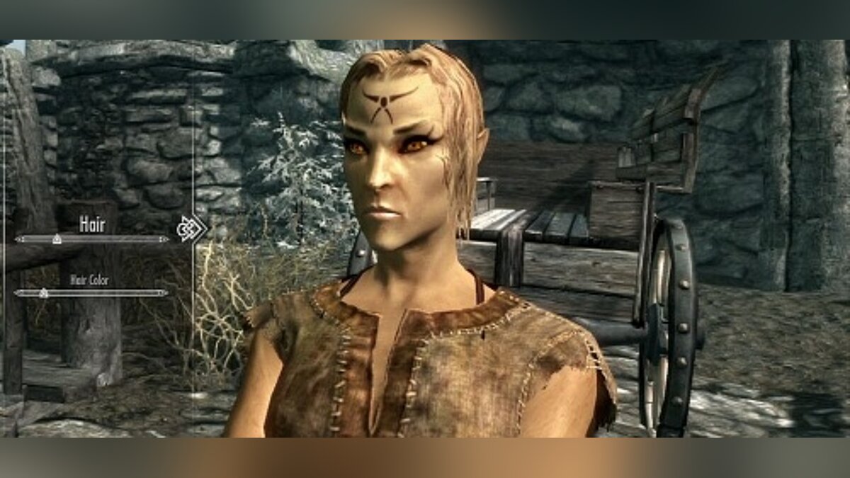 The Elder Scrolls 5: Skyrim — Save (Forest Elf Assassin, level 34, game difficulty - Adept)