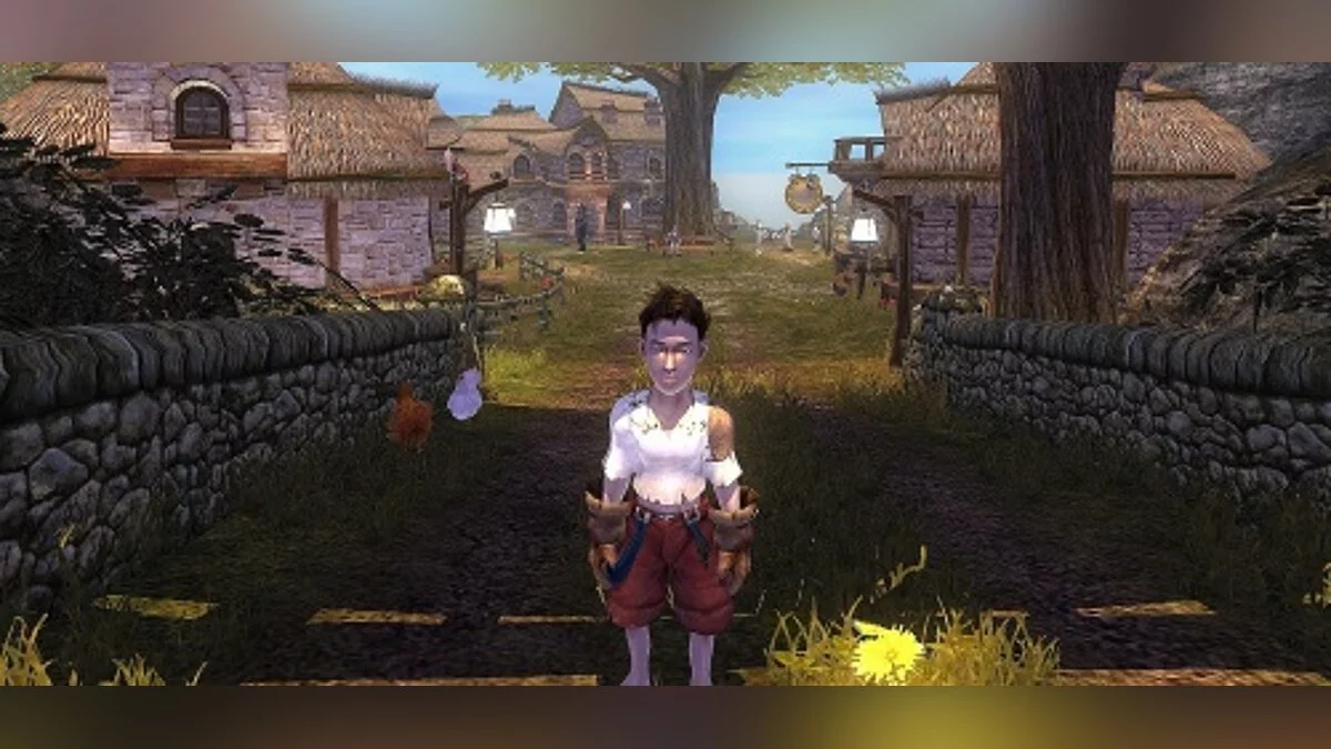 Fable (2004) — Save (Half of the game completed, 9 million gold, 9 million experience)