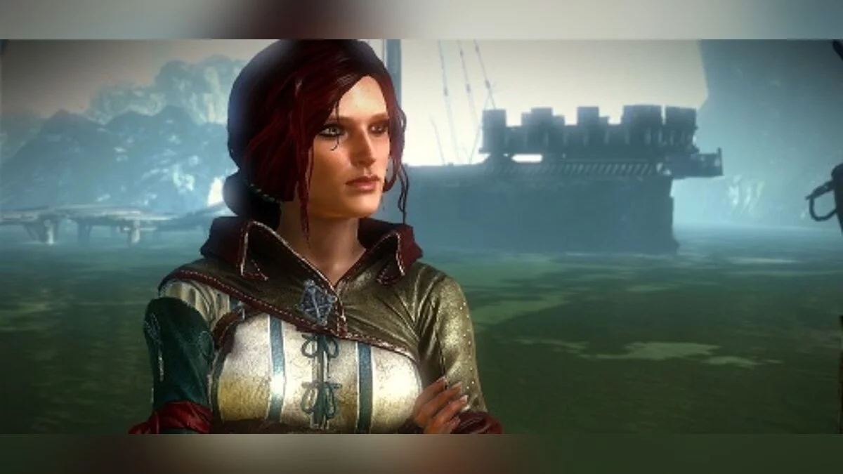 The Witcher 2: Assassins of Kings — Save (Roche's Path. End of Chapter 3, before talking with Leto, Dark difficulty)