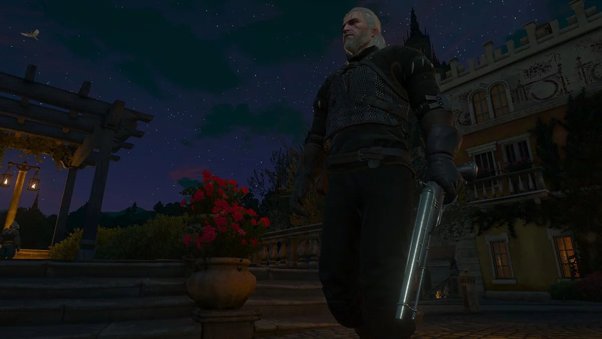 The Witcher 3: Wild Hunt — Огнестрельное оружие