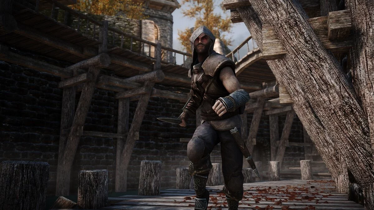 Elder Scrolls 5: Skyrim Special Edition — Эффективное сочетание доспехов