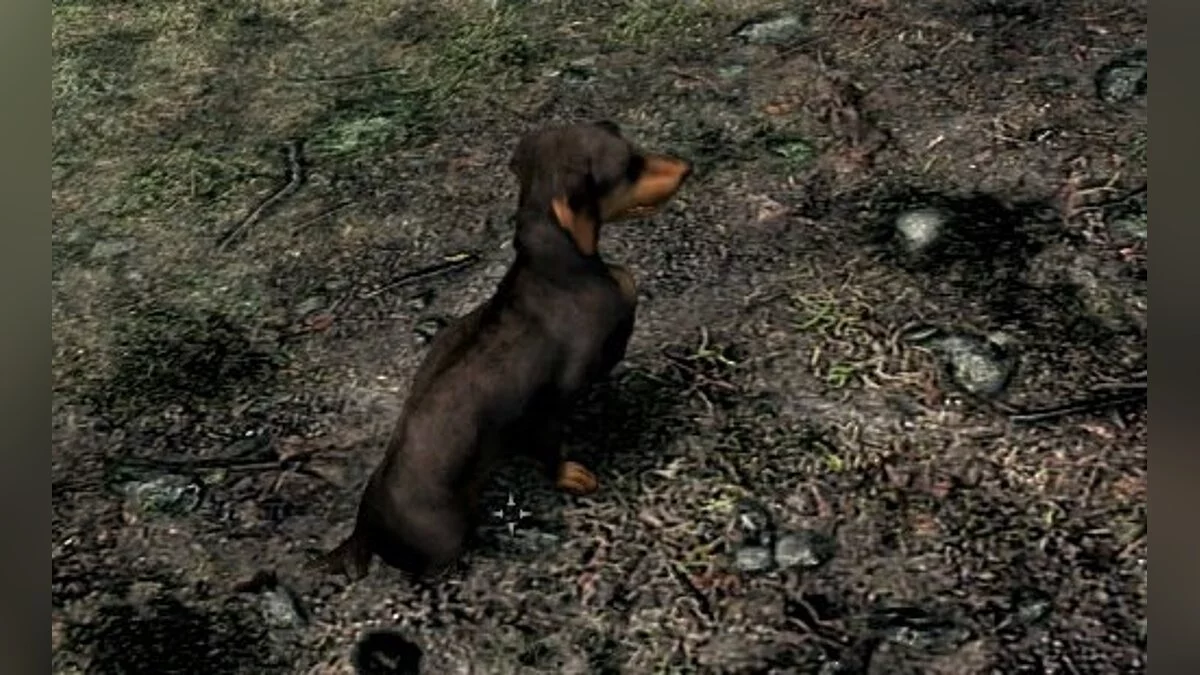 Elder Scrolls 5: Skyrim Special Edition — Таксы компаньоны