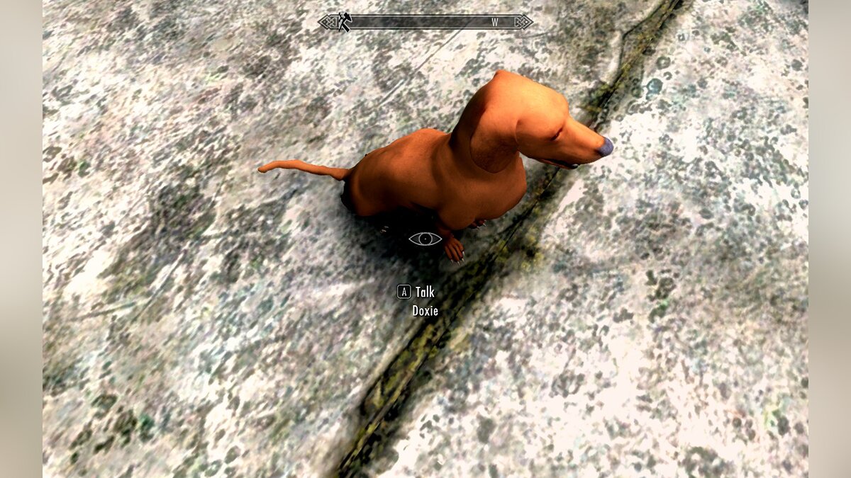 Elder Scrolls 5: Skyrim Special Edition — Dachshunds companions