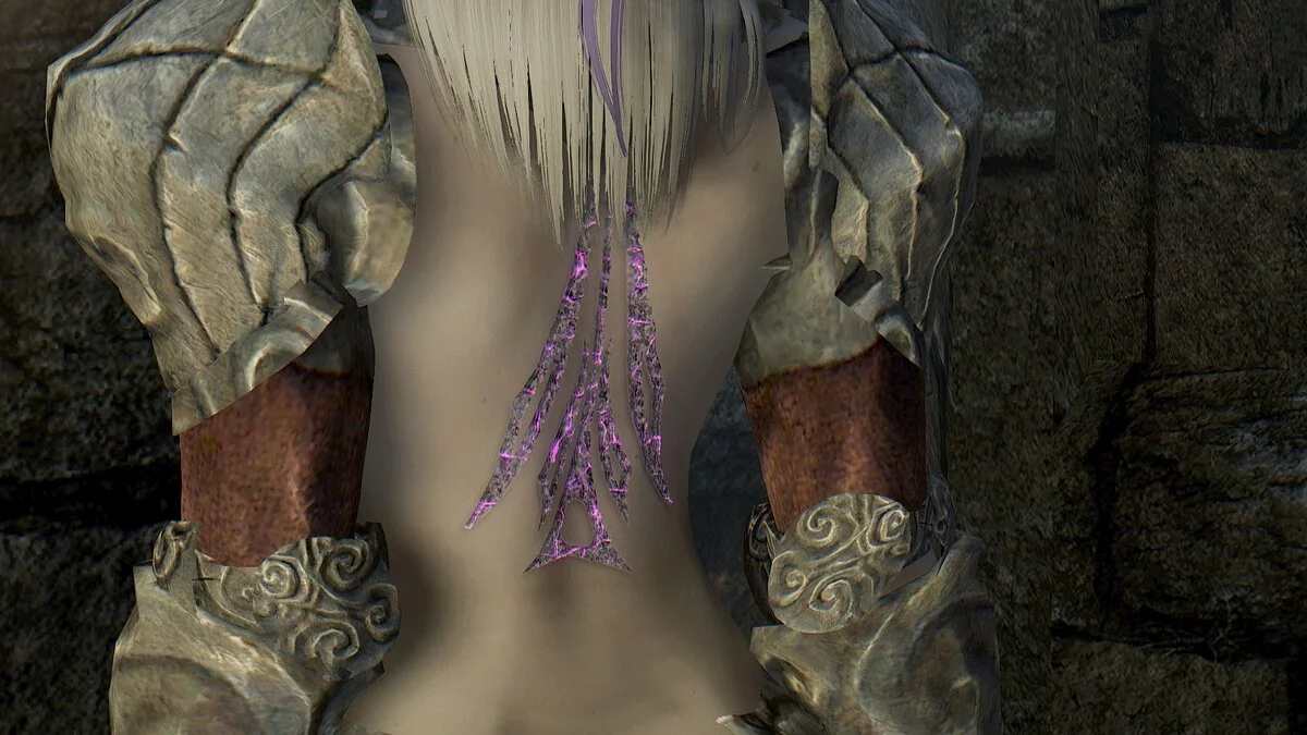 Elder Scrolls 5: Skyrim Special Edition — Компаньйон Умбра