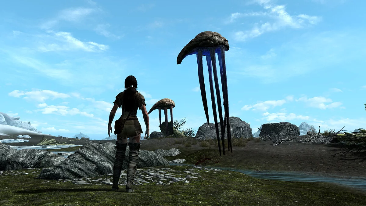 The Elder Scrolls 5: Skyrim Legendary Edition — Нетчи в Скайриме