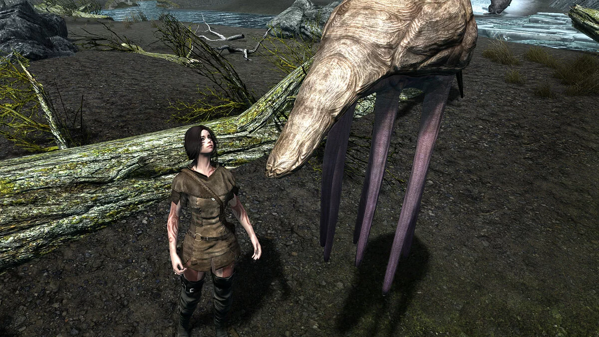 The Elder Scrolls 5: Skyrim Legendary Edition — Нетчи в Скайриме