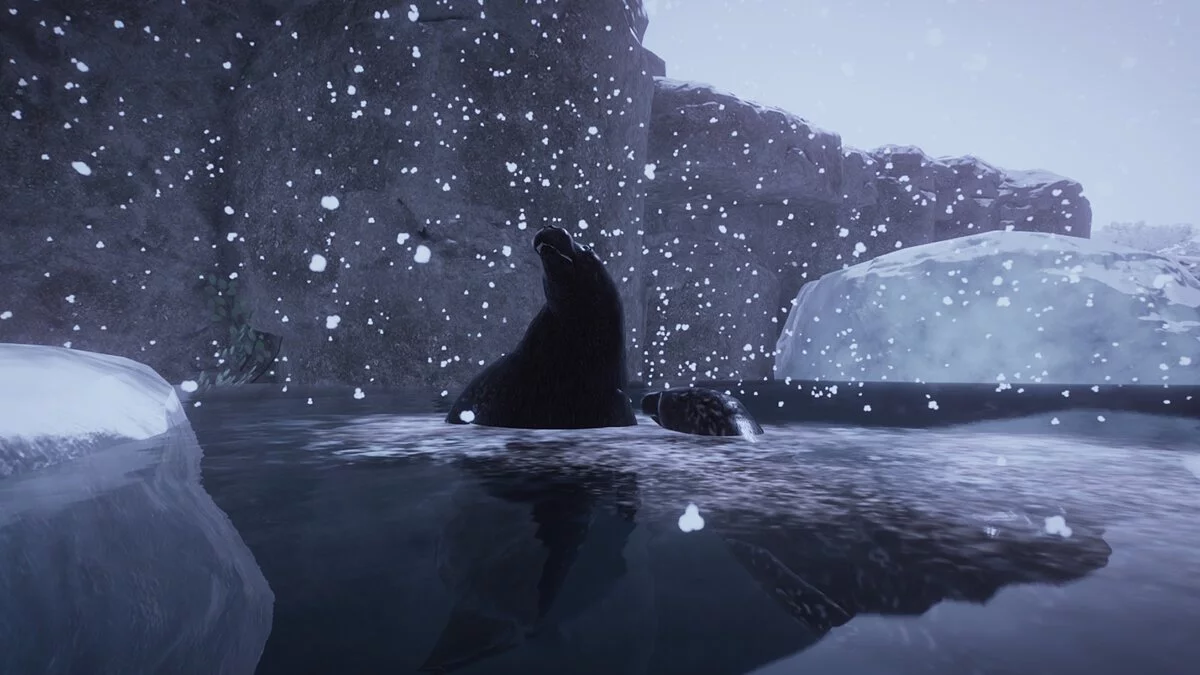 Planet Zoo — Тюлень вместо медведя