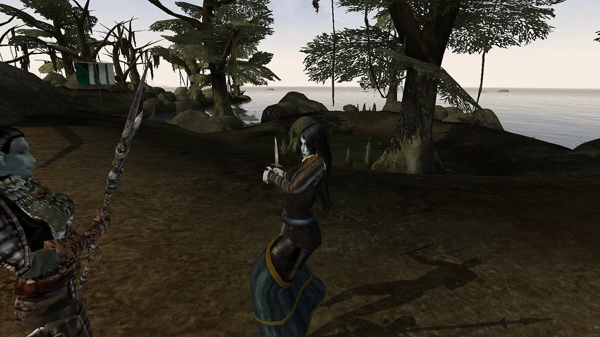 Elder Scrolls 3: Morrowind — Invisible shields