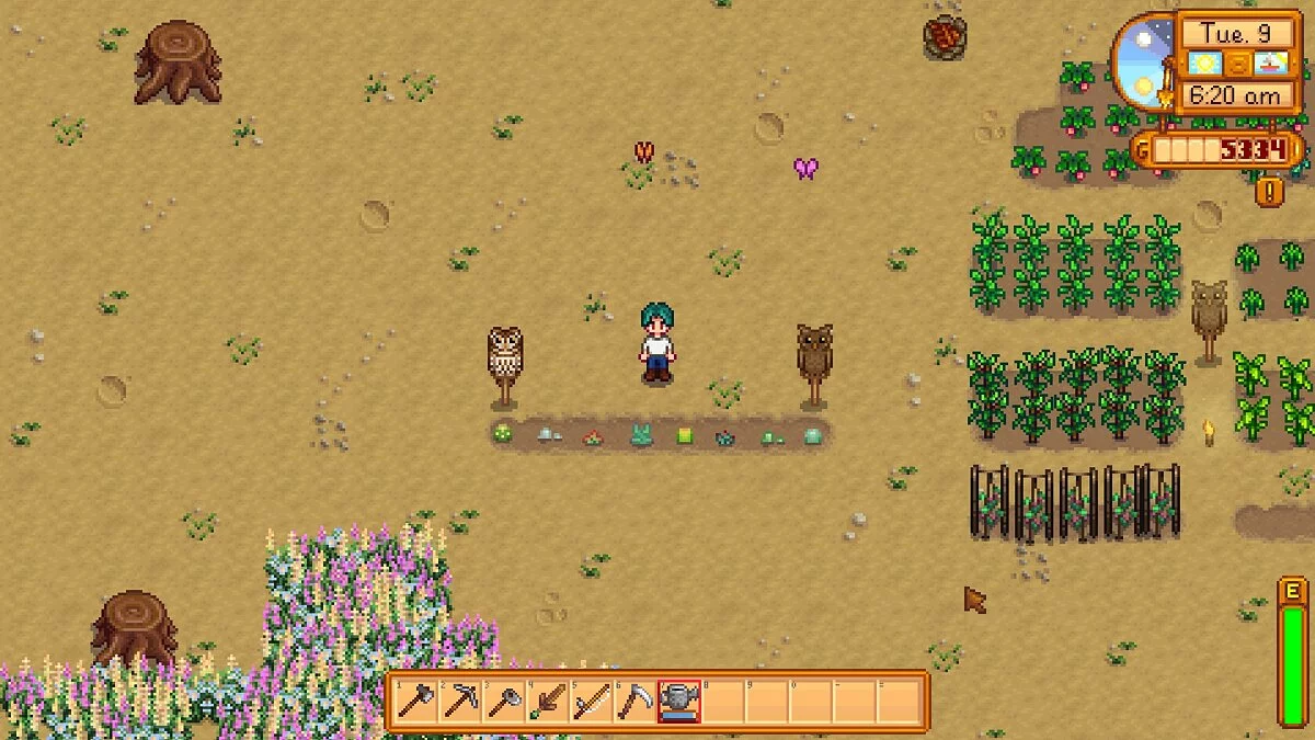 Stardew Valley — Suculentas - plantas nuevas