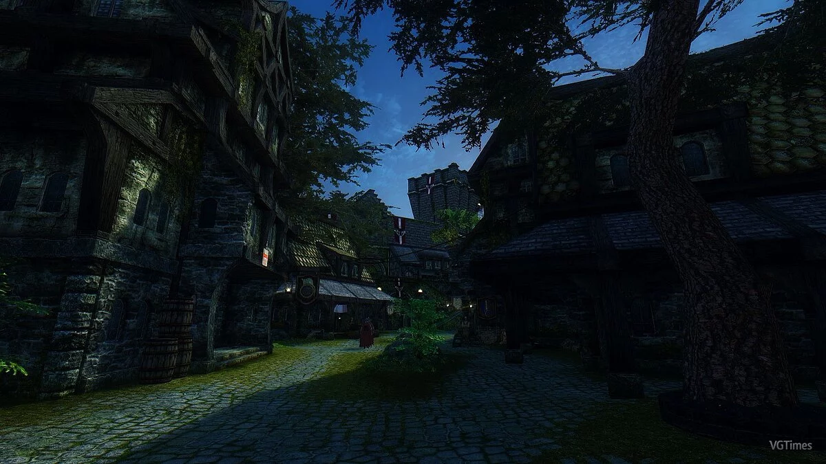 The Elder Scrolls 5: Skyrim — Больше деревьев в городах