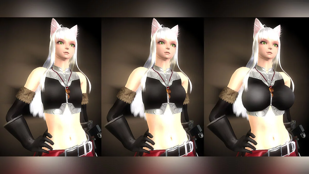 The Elder Scrolls 4: Oblivion — Снаряжение «Weiss»