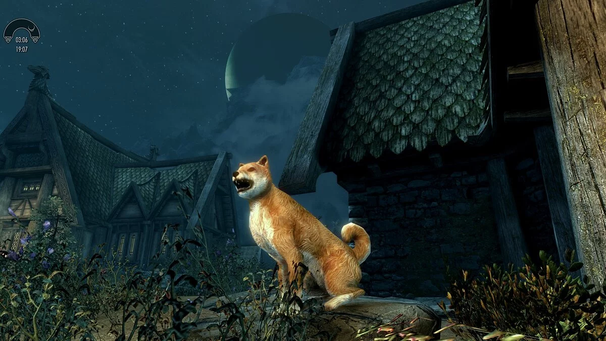 Elder Scrolls 5: Skyrim Special Edition — Dog - companion