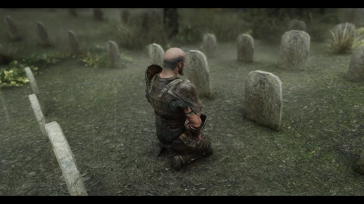 The Elder Scrolls 5: Skyrim Legendary Edition — Компаньон Скардан свободно-зимний 