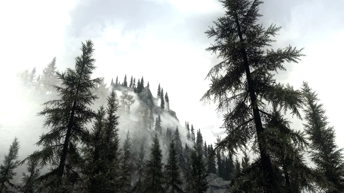 Elder Scrolls 5: Skyrim Special Edition — Noesis - featherweight reshade for weak PCs