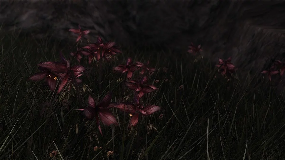 Elder Scrolls 5: Skyrim Special Edition — Улучшенный паслен