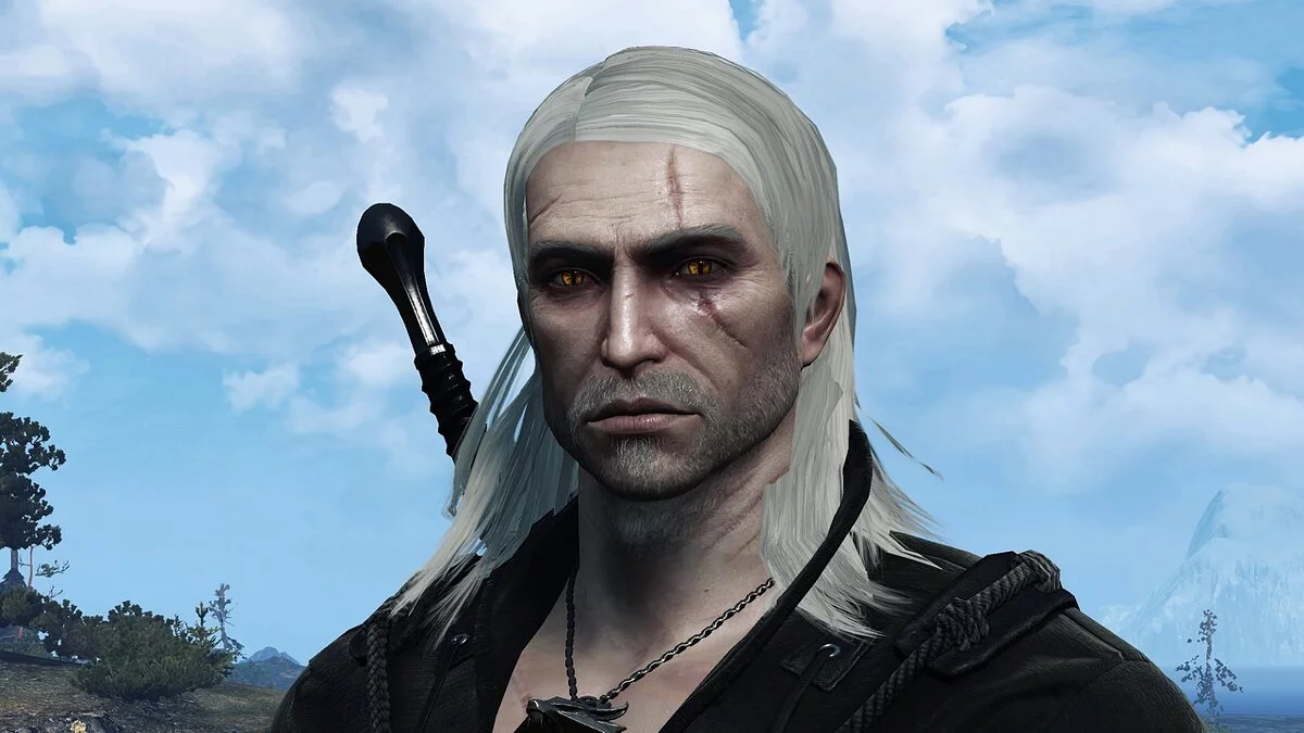 The Witcher 3: Wild Hunt - Complete Edition — La cara de Geralt del juego "The Witcher"