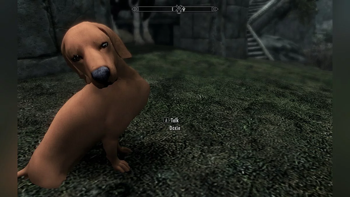 The Elder Scrolls 5: Skyrim Legendary Edition — Таксы компаньоны 