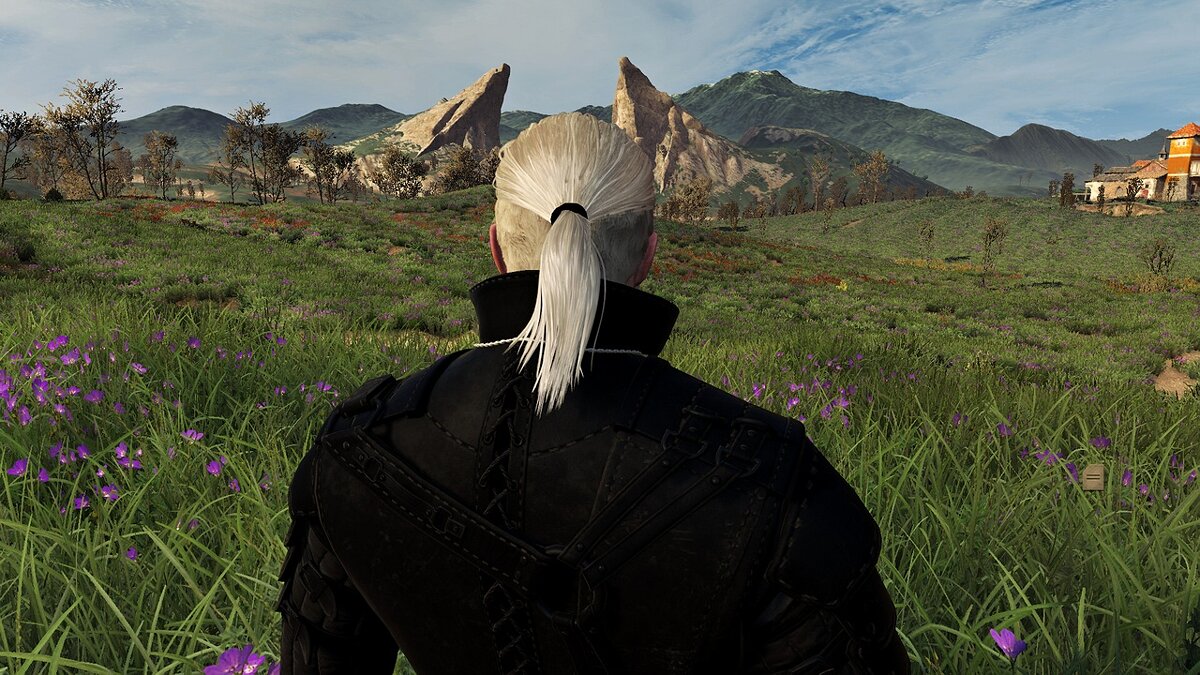 The Witcher 3: Wild Hunt - Complete Edition — Black hair tie