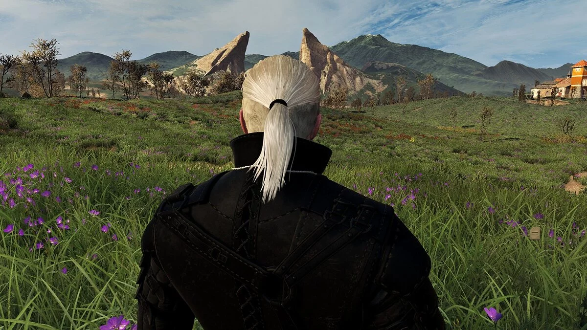 The Witcher 3: Wild Hunt - Complete Edition — lazo de pelo negro