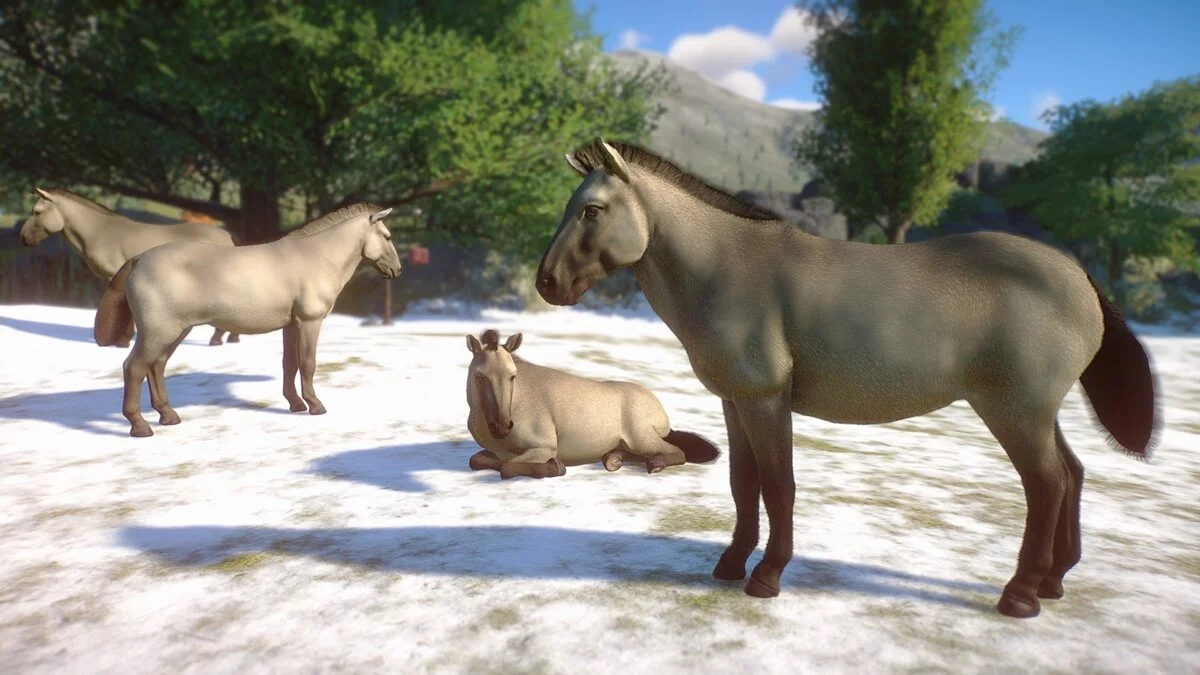 Planet Zoo — Тарпан