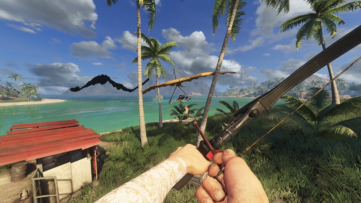 Far Cry 3 — Co-op mode