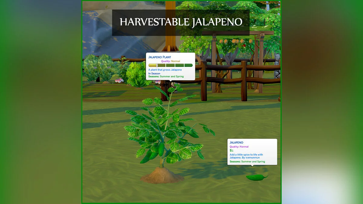 The Sims 4 — Jalapeño harvest