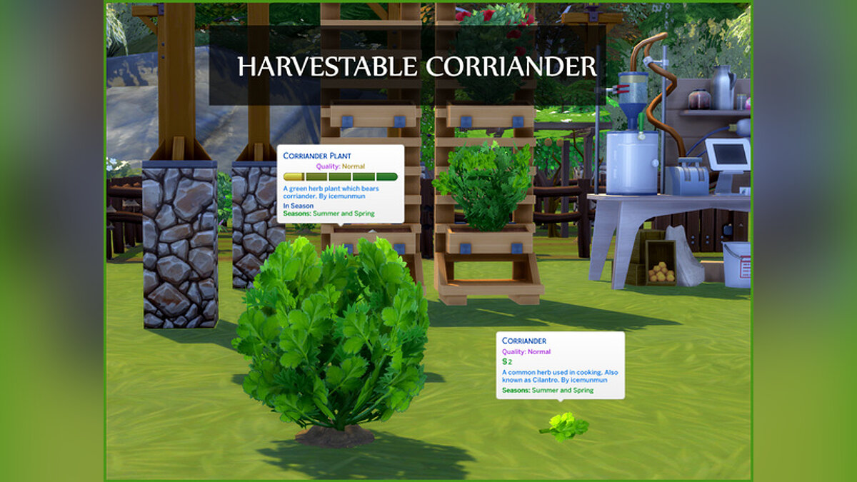 The Sims 4 — Coriander harvest