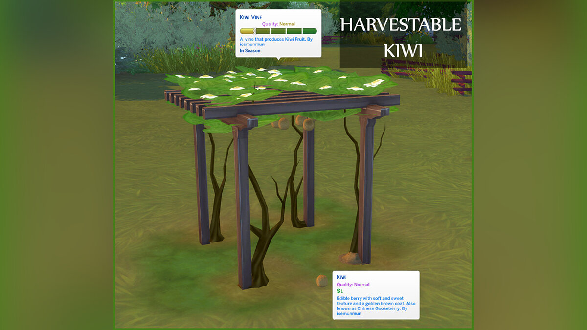 The Sims 4 — Kiwi harvest