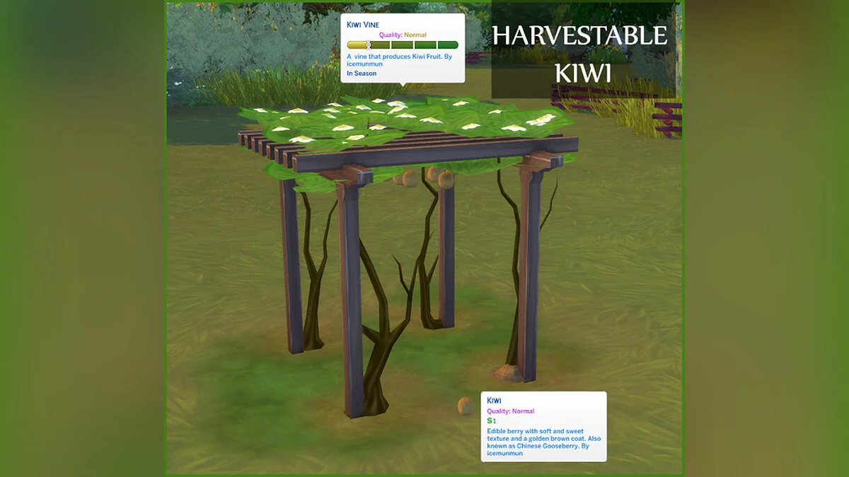 The Sims 4 — Cosecha de kiwis