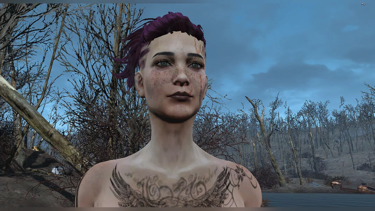 Fallout 4: Game of the Year Edition — Raquel preestablecida