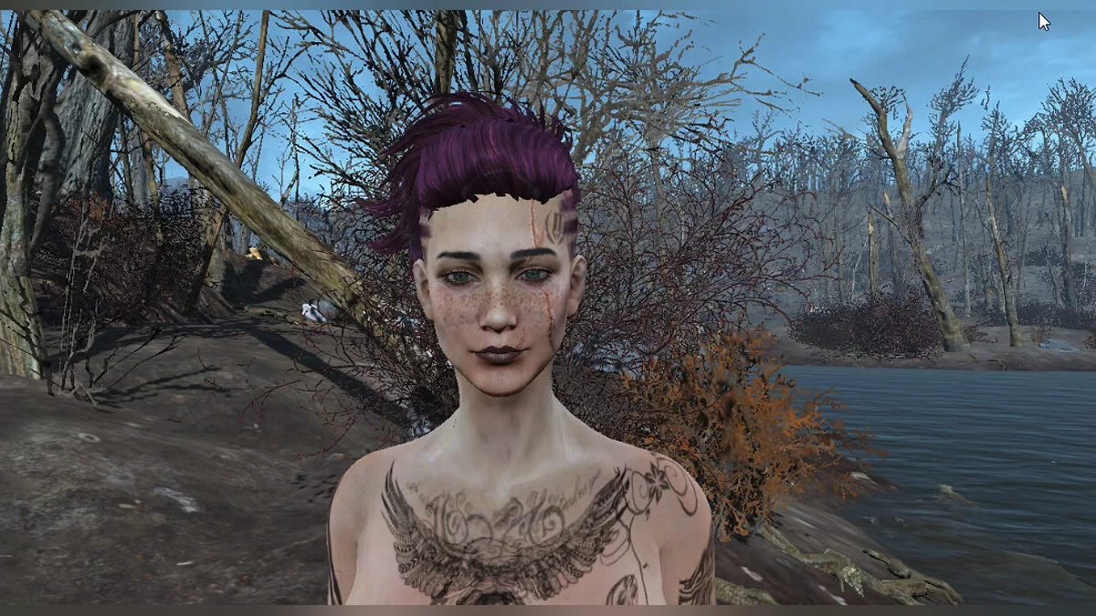 Fallout 4: Game of the Year Edition — Пресет Рэйчел