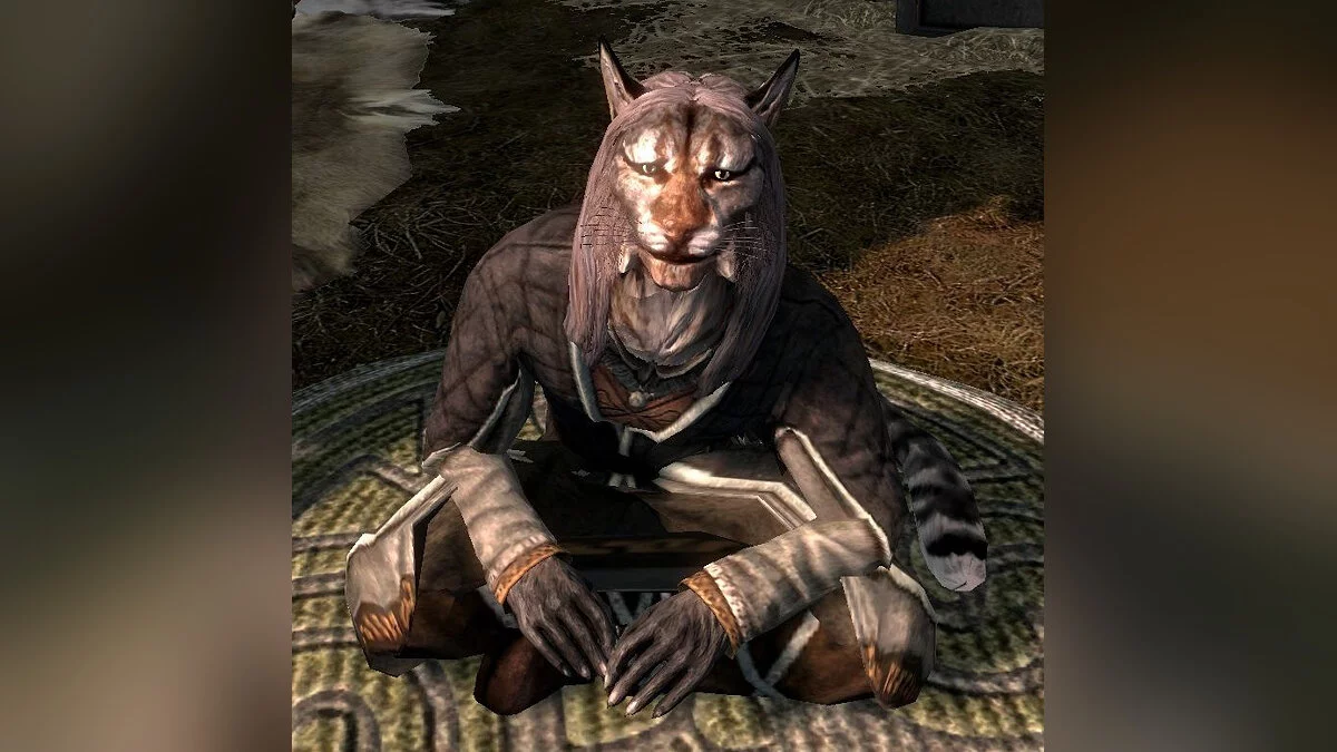 Elder Scrolls 5: Skyrim Special Edition — Los khajiitas compran bienes robados