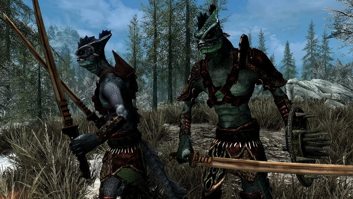 Elder Scrolls 5: Skyrim Special Edition — Бандиты Нага