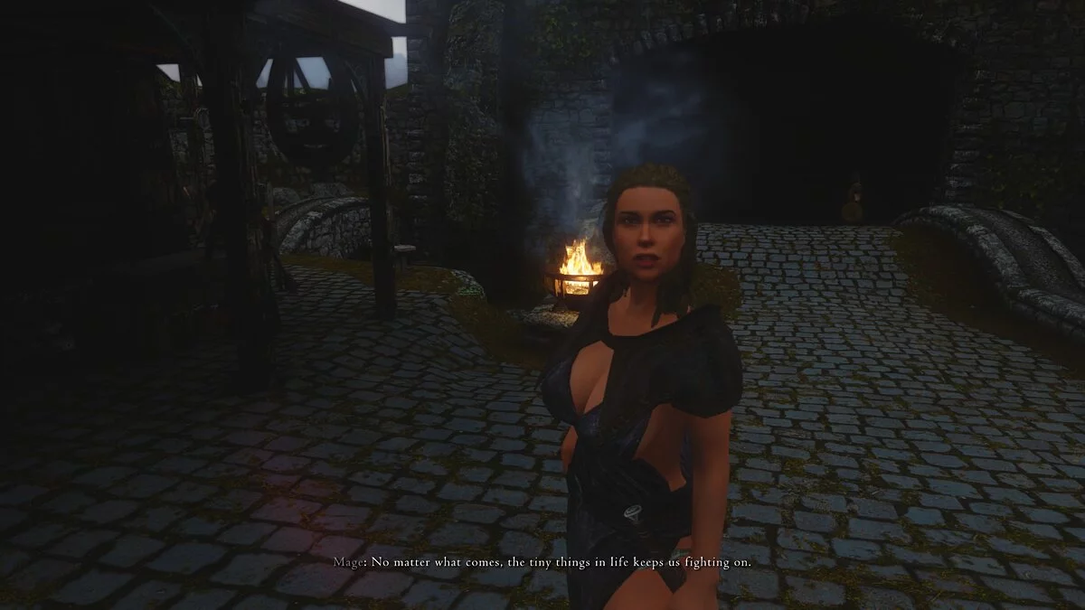 The Elder Scrolls 5: Skyrim Legendary Edition — Новые интересные NPC